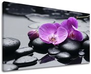 Obraz na stenu FENG SHUI | rôzne rozmery