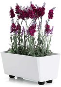 PLASTOVÝ KVETINÁČ SALVIA 28,5X17 CM BIELA
