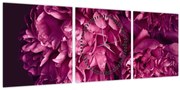 Obraz - Kytica pivoniek (s hodinami) (90x30 cm)