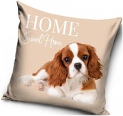 Dekoračný vankúš Kavalier King Charles španiel - 40 x 40 cm