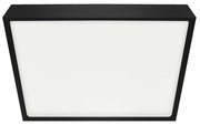 Emithor Stropné LED svietidlo LENYS III. 27025, 19 x 19 cm, 18W, IP20/IP44, čierna, 19 x 19 cm