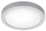 Briloner 7141-414 - LED Stropné svietidlo FIRE LED/21W/230V 4000K