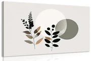 Obraz minimalistické listy s boho pozadím