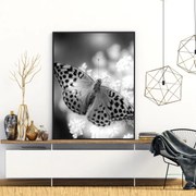 Plagát - Motýľ (A4)