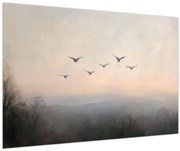Obraz - Hejno vtákov (90x60 cm)