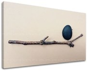 Obraz na stenu INŠPIRÁCIA | rôzne rozmery