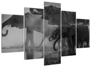 Obraz slonov - čiernobiely (150x105 cm)