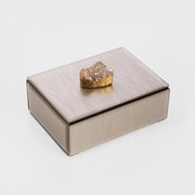 Šperkovnica PIERRE zlatá s kameňom 705243