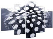 Obraz - Pierko (150x105 cm)