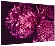 Obraz - Kytica pivoniek (90x60 cm)