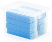 Úložný box BLAKE, 20 L, 390x290x245 mm, priehľadný