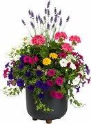 Plastový květináč na nožičkách Terra - výber z 6 prevedení