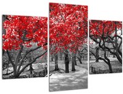 Obraz - Červené stromy, Central Park, New York (90x60 cm)