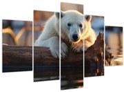 Obraz - Medveď ľadový (150x105 cm)