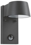Paulmann 94453 - LED/6W IP44 Vonkajšie nástenné svietidlo so senzorom CAPEA 230V