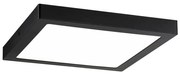 Paulmann 71026 - LED/22W Stropné svietidlo ABIA 230V čierna