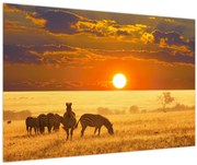 Obraz - Zebry so západom slnka (90x60 cm)