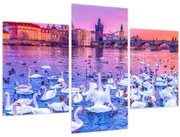 Obraz - Praha (90x60 cm)