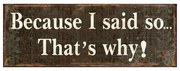 Nástenná kovová ceduľa Because I Said So - 36*1*13 cm