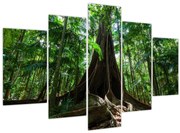 Obraz - Korene stromu (150x105 cm)