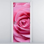 Fototapeta na dvere - Ruže (95x205cm)