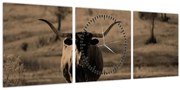 Obraz - Texaská krava (s hodinami) (90x30 cm)