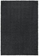 Koberec Shaggy Plainly 221 antracitový