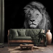 Fototapeta - Lev v čiernobielej (147x102 cm)
