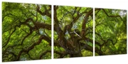 Obraz - Zelený strom (s hodinami) (90x30 cm)