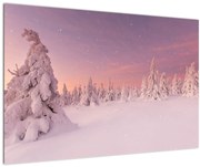 Obraz - Stromy pod snehovou prikrývkou (90x60 cm)