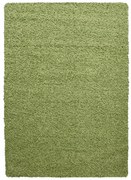 Zelený koberec 160x230 cm Life – Ayyildiz Carpets