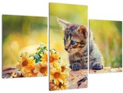 Obraz mačiatka pozerajúce sa na kvetinu (90x60 cm)