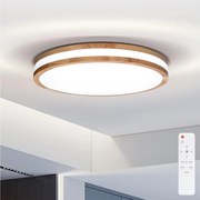 Brilagi - LED Stmievateľné stropné svietidlo MOLINA LED/48W/230V 3000-6500K + DO
