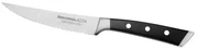 Tescoma Nôž steakový AZZA, 13 cm