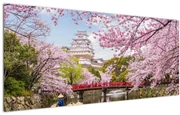 Obraz japonskej čerešne (120x50 cm)