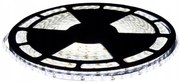 ECOLIGHT LED pásik - SMD 2835 - 50 m - 4,8 W/m - IP20 - studená biela