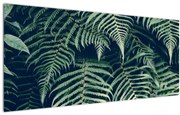Obraz listov papradí (120x50 cm)