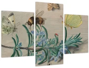 Obraz - Jan van Kessel the Elder, Insects and a Sprig of Rosemary, reprodukcia (90x60 cm)