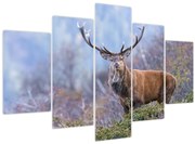 Obraz - Jeleň v krajine (150x105 cm)