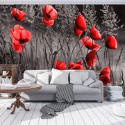 Fototapeta - Vlčí mak (254x184 cm)