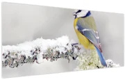 Obraz - Sýkorka (120x50 cm)