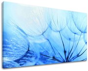 Obraz na stenu KVETY | rôzne rozmery