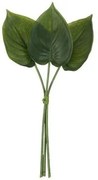 3 okrasné listy Philodendron - 30cm