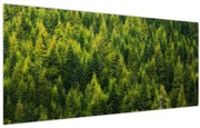 Obraz - Hustý les (120x50 cm)