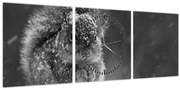 Obraz - Veverička v zime (s hodinami) (90x30 cm)