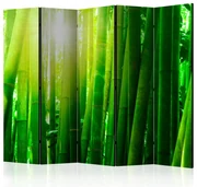 Artgeist Paraván - Sun and bamboo [Room Dividers]
