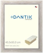 DANTIK rám na obraz 40x50 | PAINT bílá velká (Plexi Čiré)