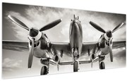 Obraz - Warbird (120x50 cm)