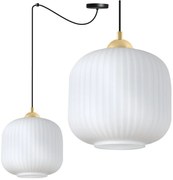 Závesné svietidlo Riffle Spider 2, 1x biele sklenené tienidlo, b/g