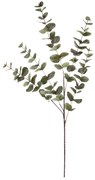 Eukalyptus - umelá vetva, veľké listy, 100 cm, zelená